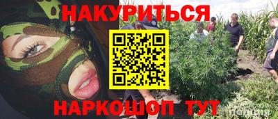 крисы Донецк