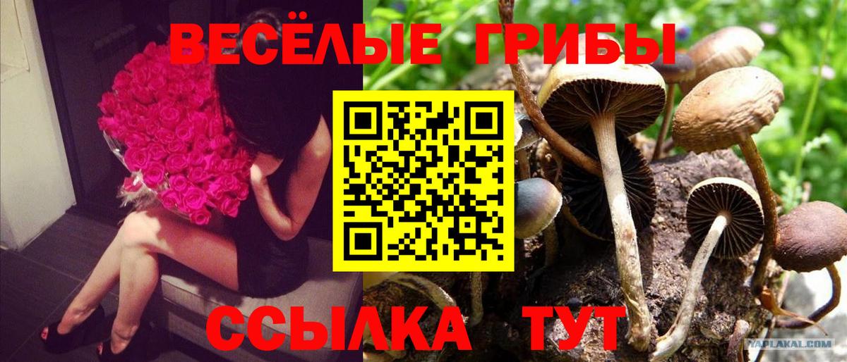 Галлюциногенные грибы Magic Shrooms  Вход с VPN  Псилоцибиновые грибы прущие грибы  Набережные Челны 